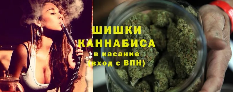 Бошки марихуана SATIVA & INDICA  продажа наркотиков  MEGA зеркало  Змеиногорск 